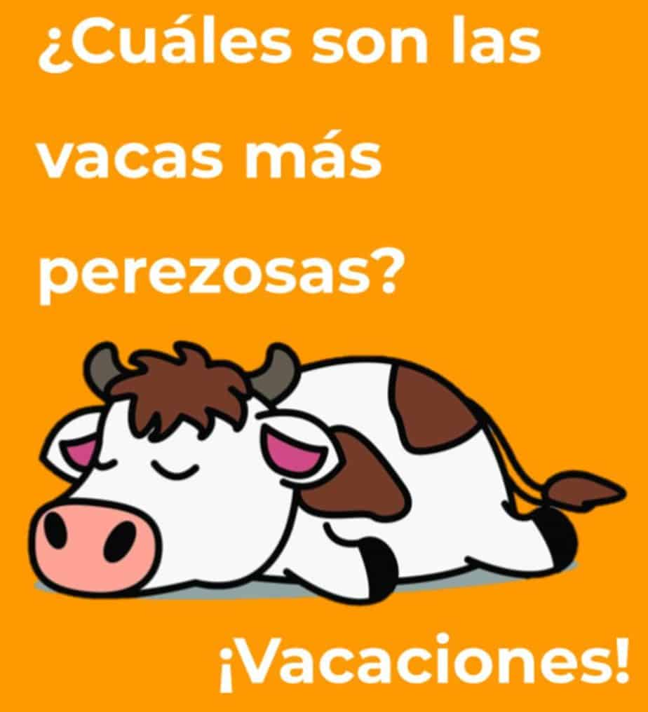 funny jokes in spanish language